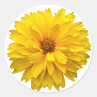 Chrysanthemum Classic Round Sticker