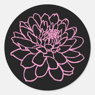 Chrysanthemum Drawing - Pink on Black Classic Round Sticker