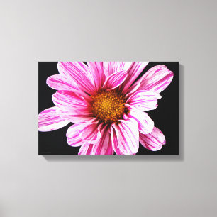 Chrysanthemum Flower 16.50x11 (41.25x27.5cm) waccn Canvas Print