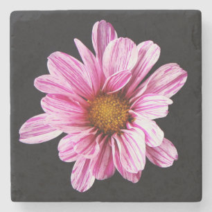 Chrysanthemum Flower coastercnm Stone Coaster