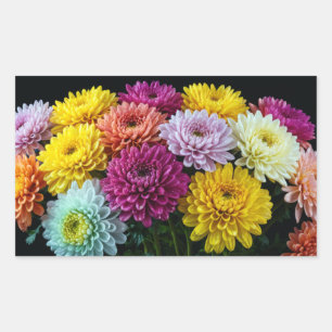 Chrysanthemum Flower Colourful Blossom Decoration  Sticker
