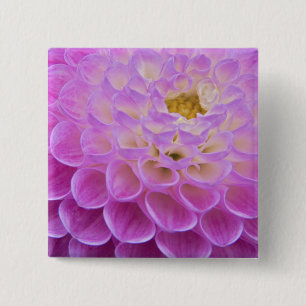 Chrysanthemum flower decorating grave site in 2 inch square button