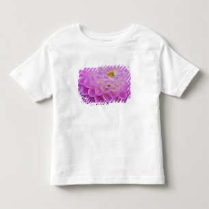 Chrysanthemum flower decorating grave site in toddler t-shirt