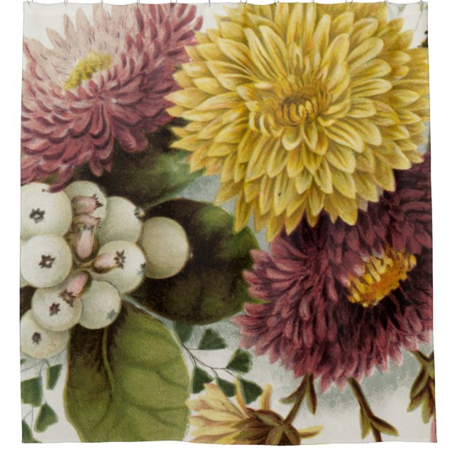Chrysanthemum Flower Mum Floral (Front)