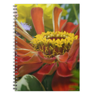 Chrysanthemum flower notebook