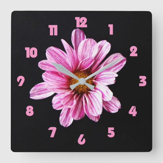Chrysanthemum Flower Pink Fat Numbers wca Square Wall Clock (Front)