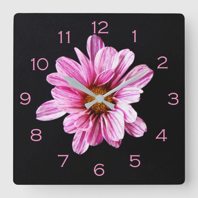 Chrysanthemum Flower Pink Numbers wccnm Square Wall Clock (Front)