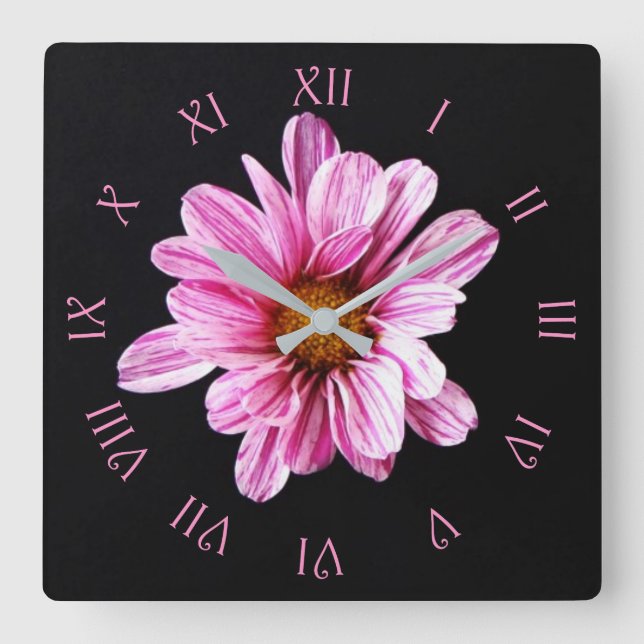 Chrysanthemum Flower Pink Script Roman wccnm Square Wall Clock (Front)