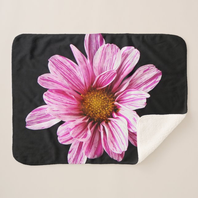 Chrysanthemum Flower sbcnm Sherpa Blanket (Front (Horizontal))