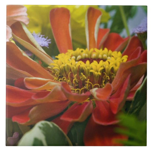 Chrysanthemum flower tile (Front)