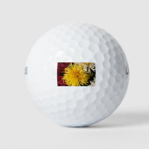 Chrysanthemum flowers golf balls