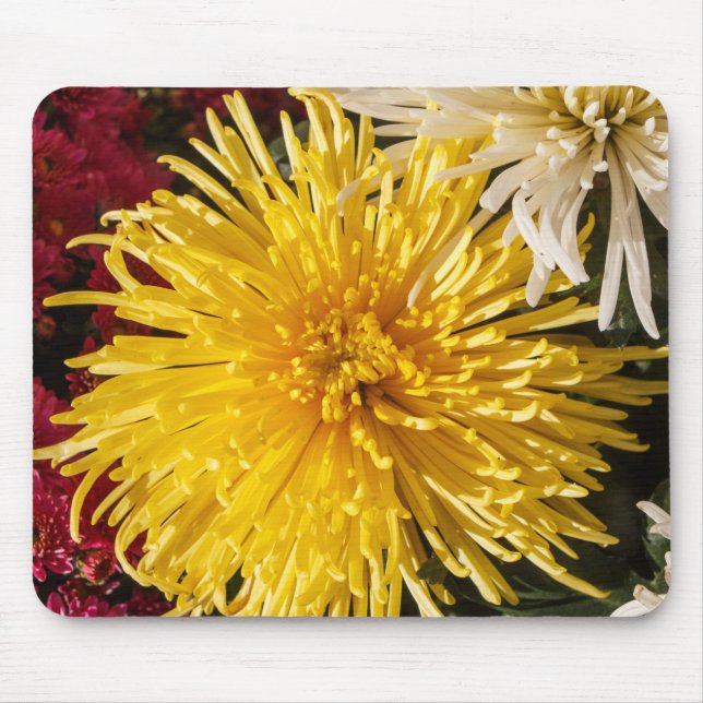 Chrysanthemum flowers mouse pad (Front)