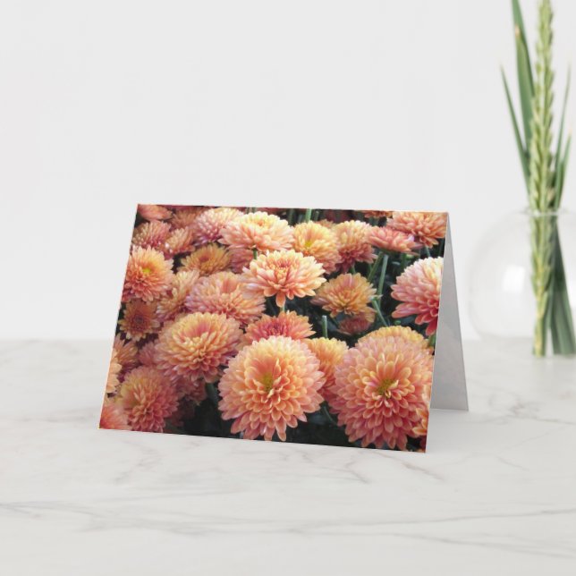 Chrysanthemum Greeting Card (Front)