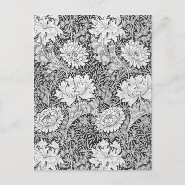Chrysanthemum Grey, William Morris Postcard (Front)