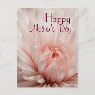 Chrysanthemum - Happy Mother's Day Customized Postcard