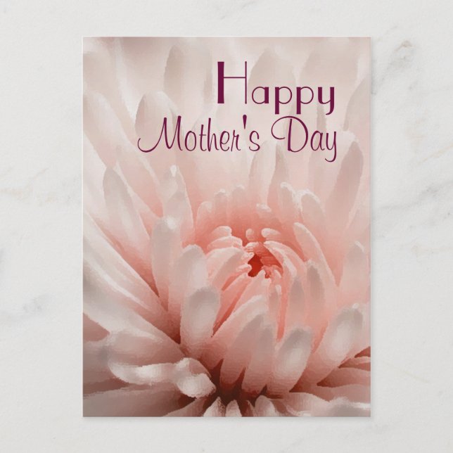 Chrysanthemum  - Happy Mother's Day Customized Postcard (Front)