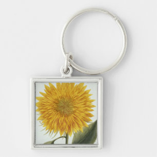 Chrysanthemum Indicum from 'Pythanthoza Iconograph Keychain
