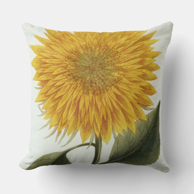 Chrysanthemum Indicum from 'Pythanthoza Iconograph Throw Pillow (Front)