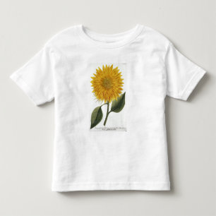 Chrysanthemum Indicum from 'Pythanthoza Iconograph Toddler T-shirt