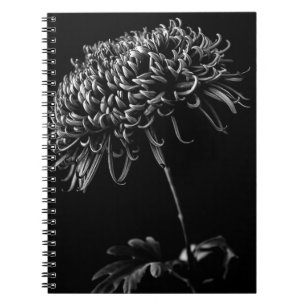 Chrysanthemum Notebook