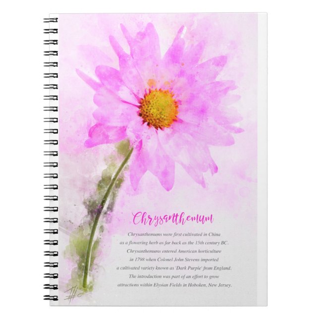 Chrysanthemum Notebook (Front)