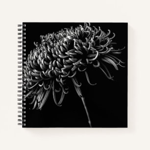 Chrysanthemum Notebook