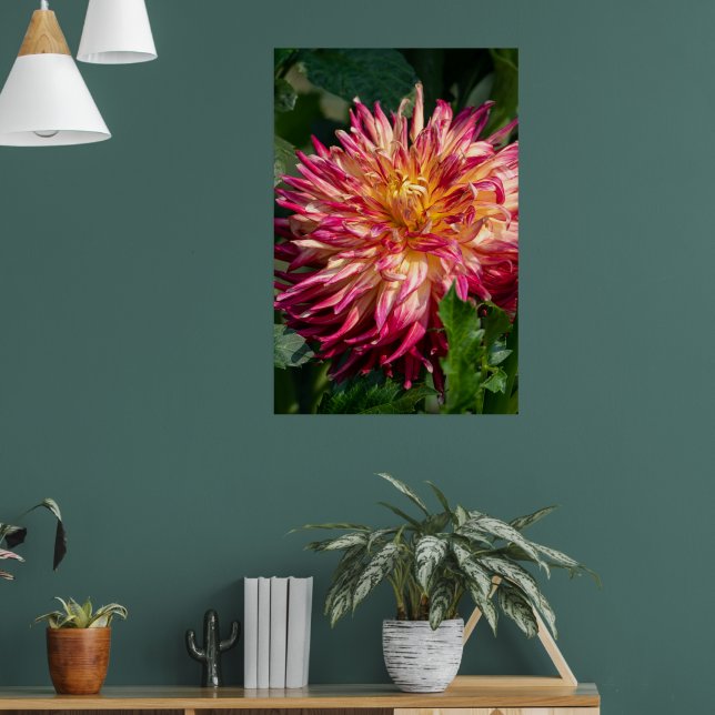 Chrysanthemum Orange Canadian Flower Photography Poster (Living Room 1)