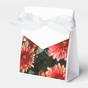 Chrysanthemum plant on a tombstone favor box