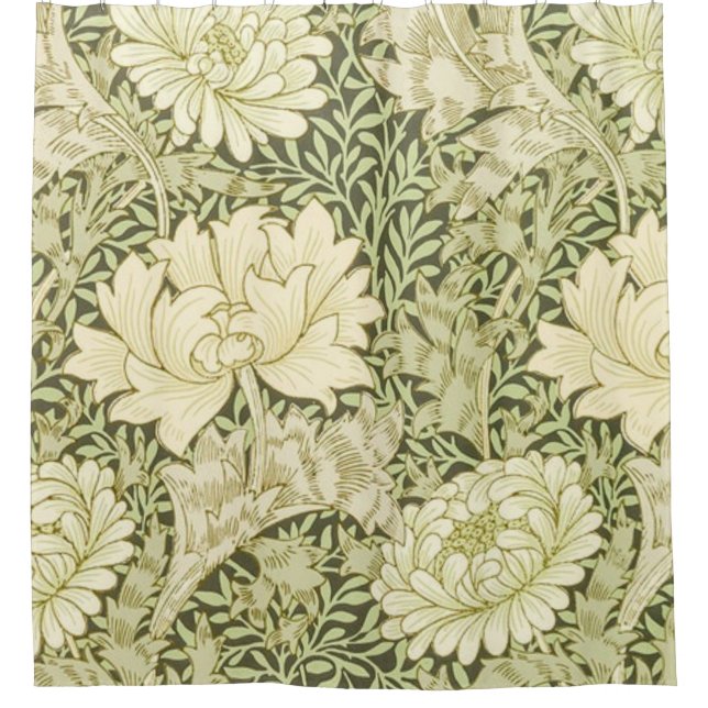 Chrysanthemum William Morris (Front)