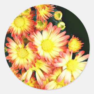Chrysanthemums Classic Round Sticker