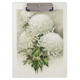 Chrysanthemums – Elegant Vintage Botanical Clipboard