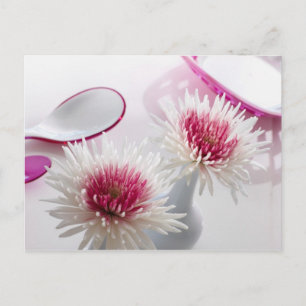 Chrysanthemums Postcard