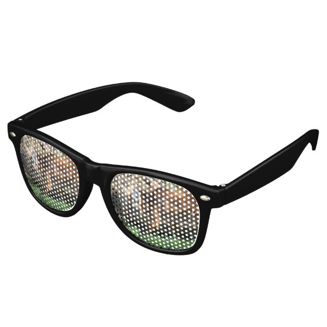 Chrysocyon brachyurus retro sunglasses (Angled)