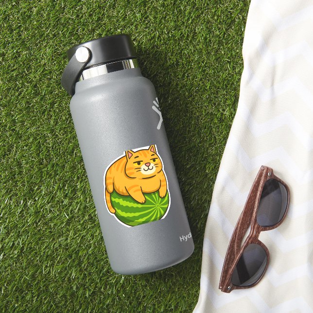 Chubby Cat on Watermelon Meme Shirt (HydroFlask Insitu)