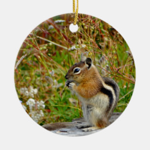 Chubby cute chipmunk on  on wood stump ceramic ornament