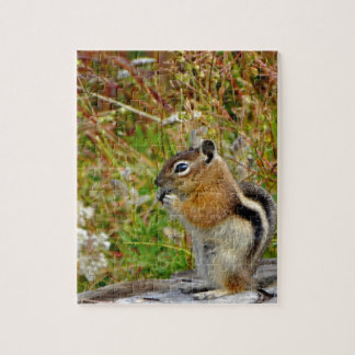 Chubby cute chipmunk on on wood stump jigsaw puzzle