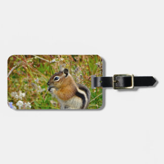 Chubby cute chipmunk on on wood stump luggage tag