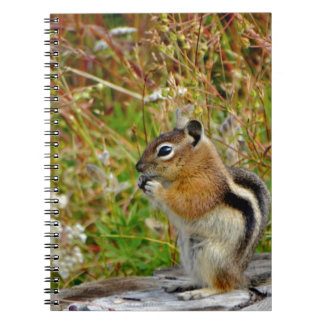 Chubby cute chipmunk on on wood stump notebook