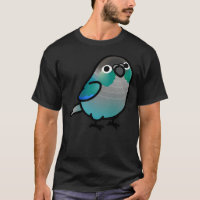 Chubby Green Cheek Conure Turquoise