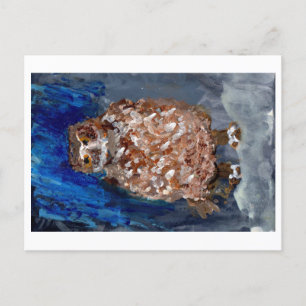 Chubby owl with deep blue background postcard