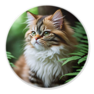 Chubby Persian Cat, Ceramic Knob