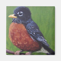 Chubby Robin - Magnet