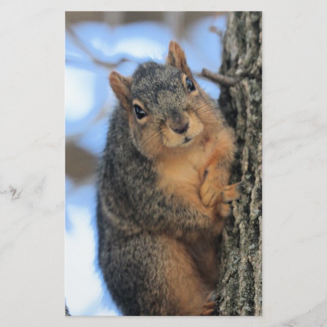 Chubby Stationery (Front)