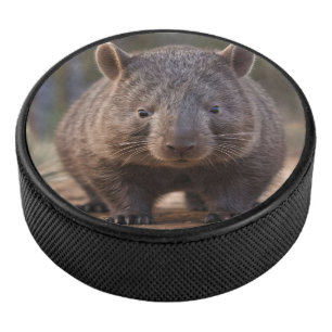 Chubby The Australian Wombat,