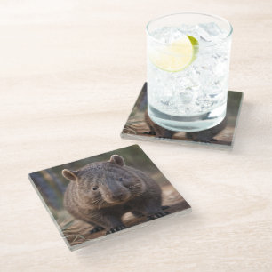 Chubby The Australian Wombat, Glass Coaster