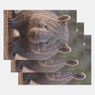 Chubby The Australian Wombat,  Wrapping Paper Sheet