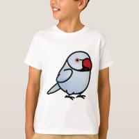 Chubby Violet Indian Ringneck Parakeet