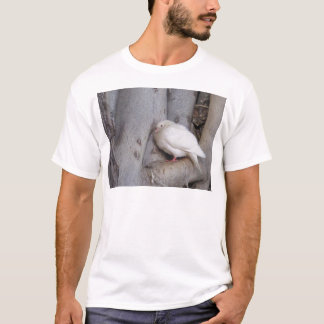 Chubby white dove in tree T-Shirt