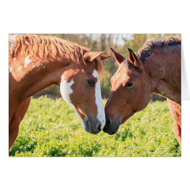 Chuchotement (Devant horizontal)