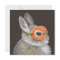 Chuck the bunny invitation